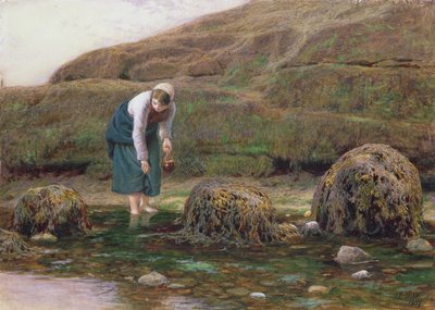 El Recolector de Caracoles, 1869 de John Dawson Watson